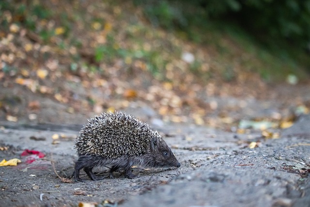 与适时的反 与适时的反