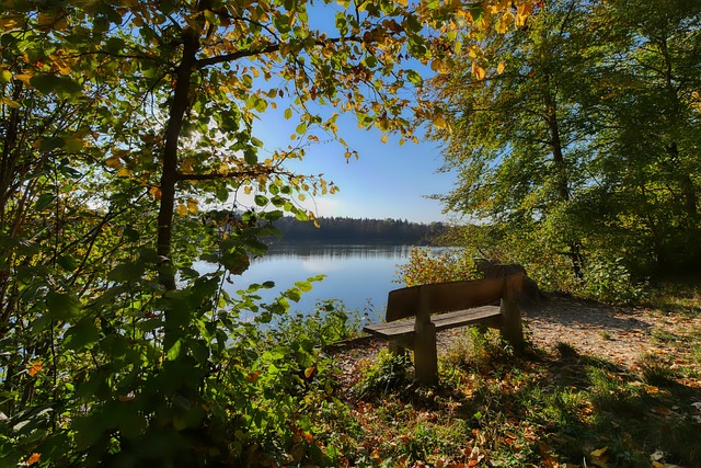 更具竞争力 更具竞争力