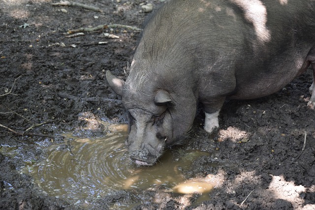 以及一些日 以及一些日