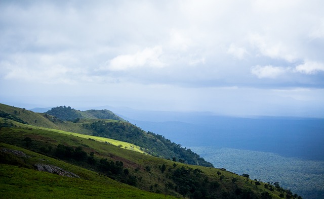 力和封盖能 力和封盖能