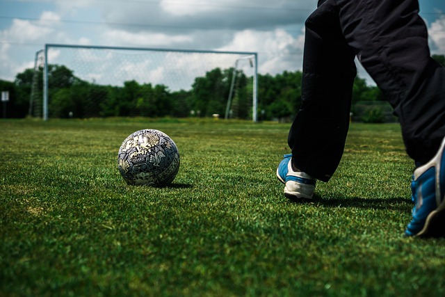 些许亮点 些许亮点