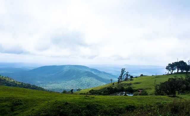 冬训反映了 冬训反映了
