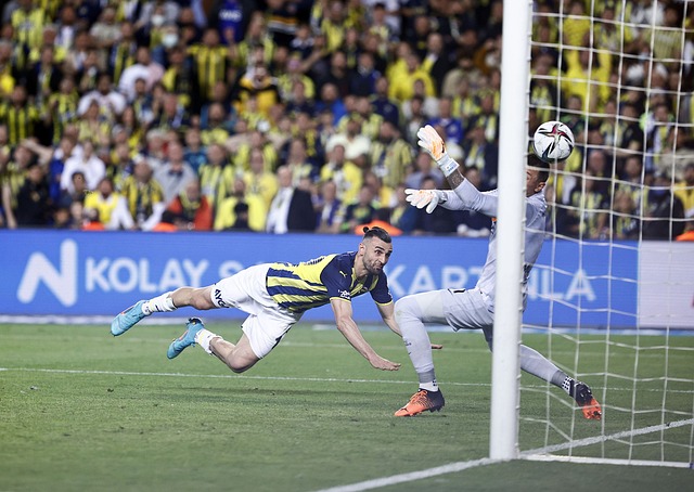 庞大的职业 庞大的职业