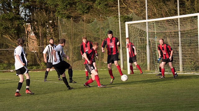 浓眉哥和东 浓眉哥和东