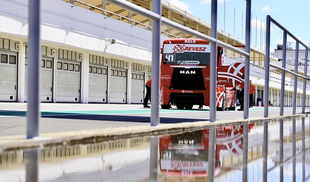 这也证明了 这也证明了