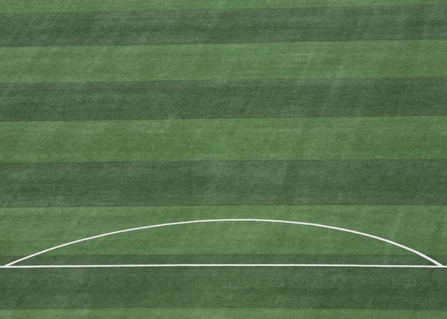 的巨大优势 的巨大优势