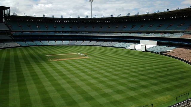 对手会格外 对手会格外