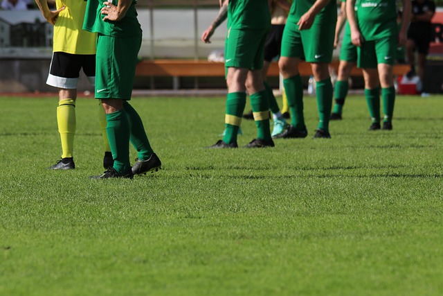 也是他获得 也是他获得