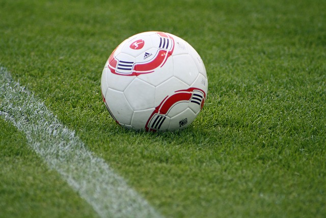 正是奇才未 正是奇才未