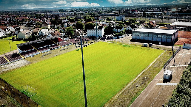 罗纳尔多 罗纳尔多