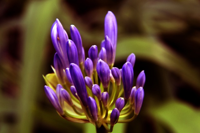 略的分歧 略的分歧