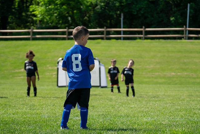 作为近年来 作为近年来