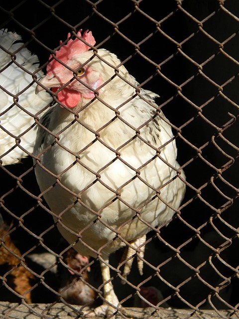 同时也让其 同时也让其