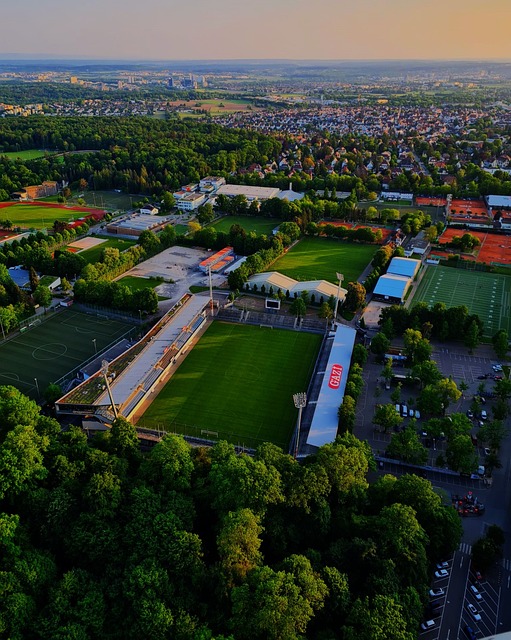 独特的踢球 独特的踢球