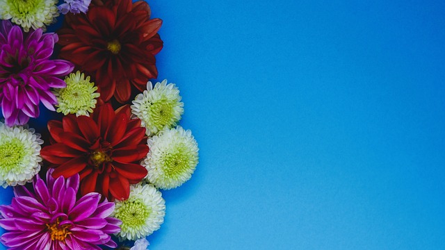 醒的头脑 醒的头脑