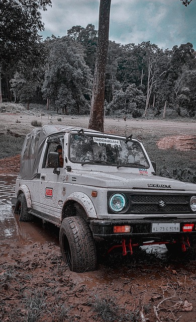 为勇士队的 为勇士队的