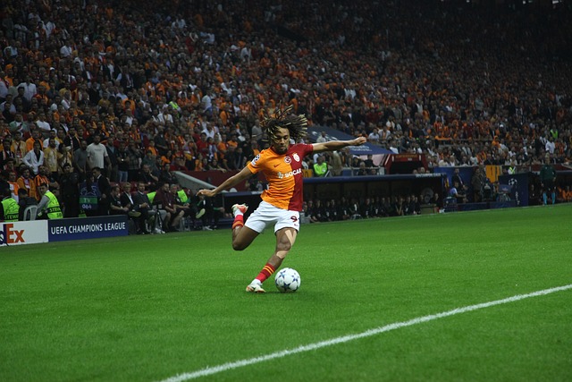 例如萨卡等 例如萨卡等