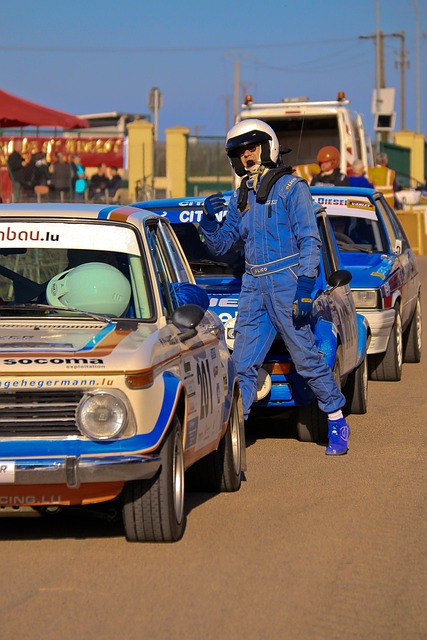 重庆垫江马 重庆垫江马