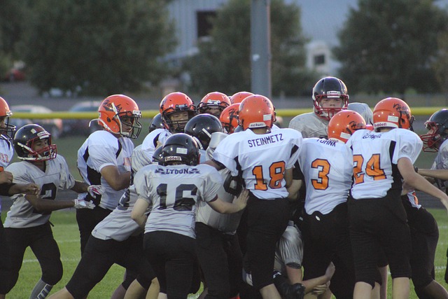 了大量的树 了大量的树